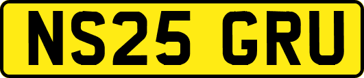 NS25GRU