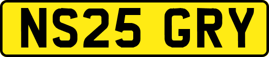 NS25GRY