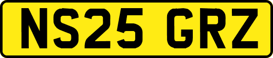 NS25GRZ