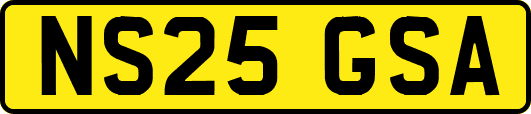 NS25GSA