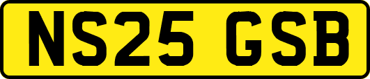 NS25GSB