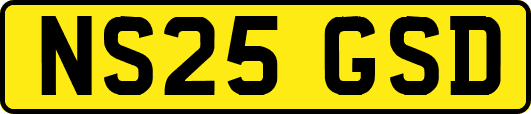 NS25GSD