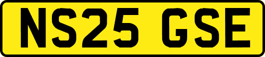 NS25GSE