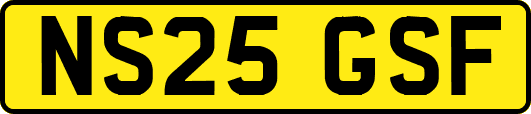 NS25GSF