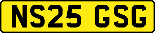 NS25GSG