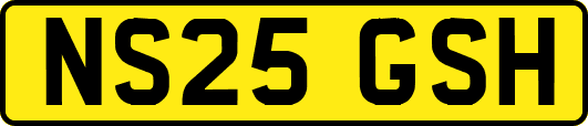 NS25GSH
