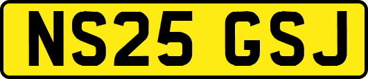 NS25GSJ