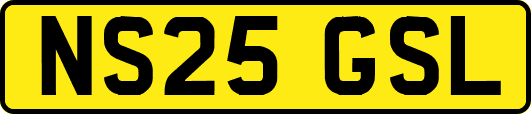NS25GSL