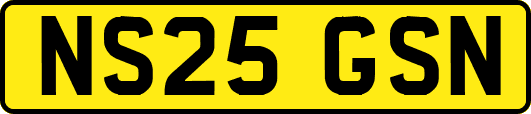 NS25GSN