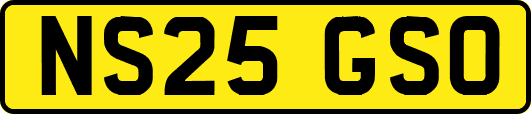 NS25GSO