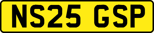 NS25GSP