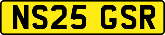 NS25GSR
