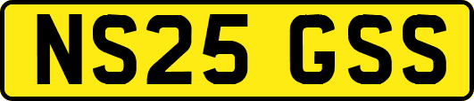 NS25GSS