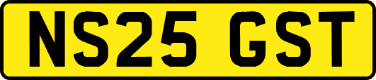 NS25GST
