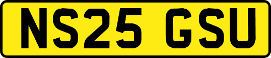 NS25GSU
