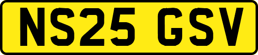 NS25GSV
