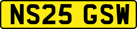 NS25GSW