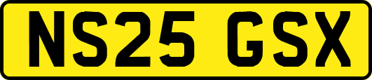 NS25GSX