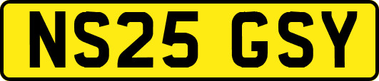 NS25GSY