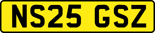 NS25GSZ