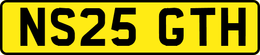 NS25GTH