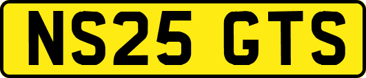 NS25GTS