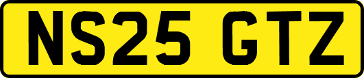 NS25GTZ