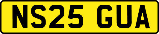 NS25GUA
