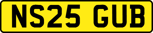 NS25GUB