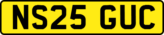 NS25GUC