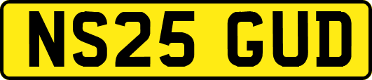 NS25GUD