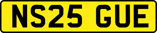 NS25GUE