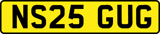 NS25GUG