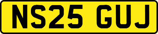 NS25GUJ