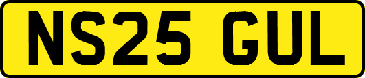 NS25GUL