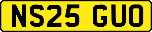 NS25GUO