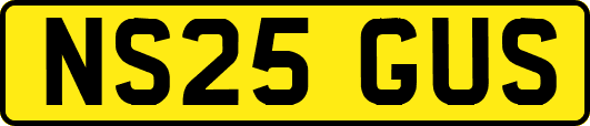 NS25GUS