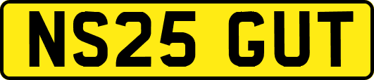 NS25GUT
