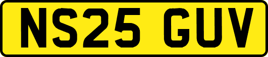 NS25GUV
