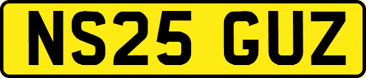 NS25GUZ