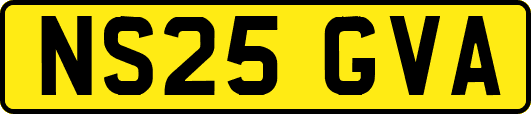 NS25GVA