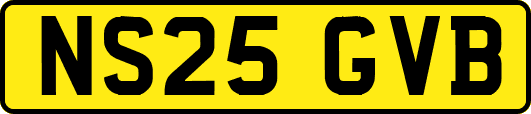 NS25GVB