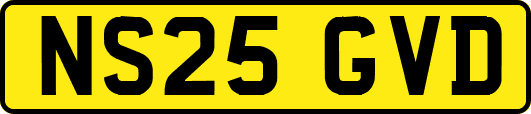 NS25GVD