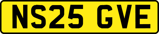 NS25GVE