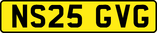 NS25GVG