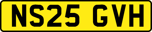 NS25GVH