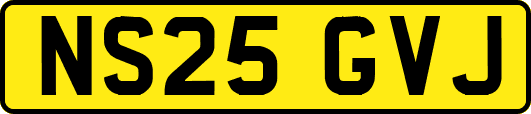 NS25GVJ