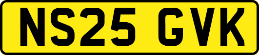 NS25GVK