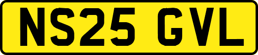 NS25GVL