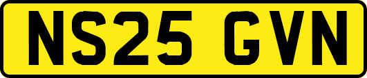 NS25GVN